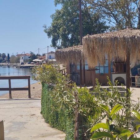 Stone Villa Inside Sea- Kids'Land Πλατανίδια Εξωτερικό φωτογραφία