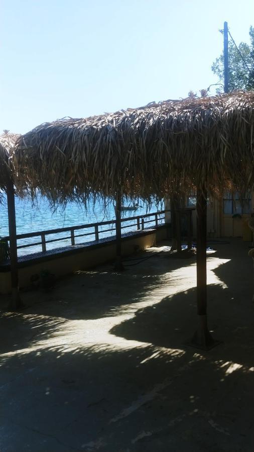 Stone Villa Inside Sea- Kids'Land Πλατανίδια Εξωτερικό φωτογραφία
