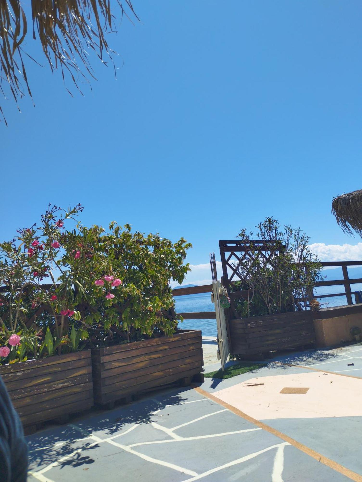 Stone Villa Inside Sea- Kids'Land Πλατανίδια Εξωτερικό φωτογραφία